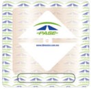 Oficiales intramuros